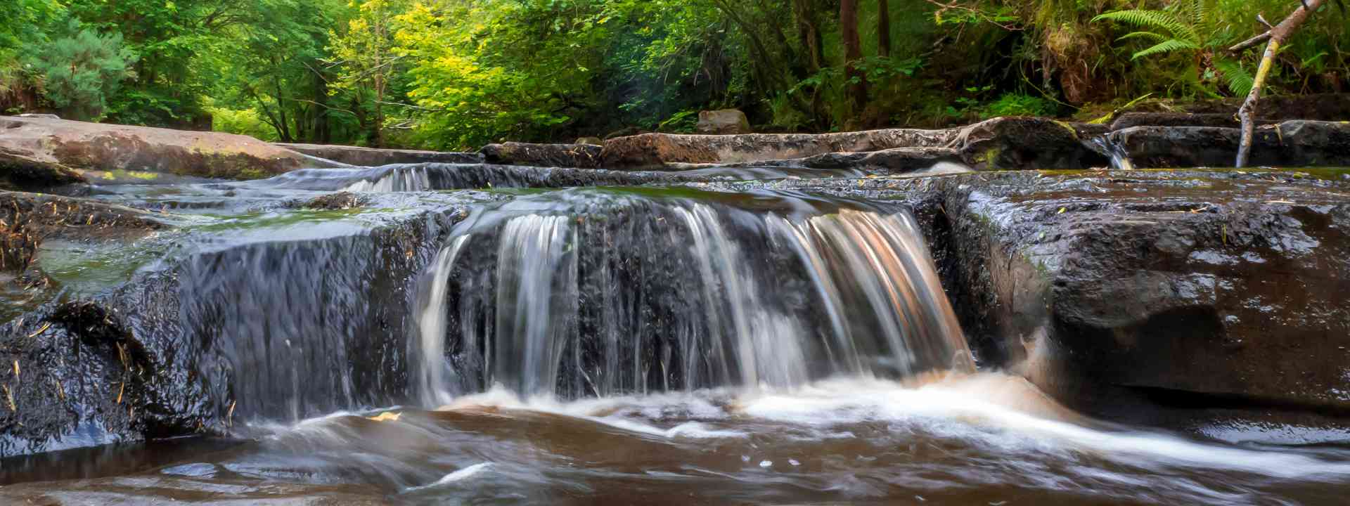 Slieve Bloom Mountains | Best Hikes in Ireland | Biking Ireland