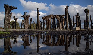 Weekly Walks around Slieve Bloom