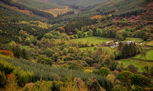 Glamping & Camping in the Slieve Blooms