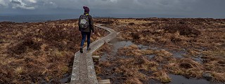 Walking in the Slieve Blooms