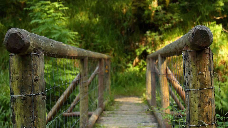 giants grave temporary