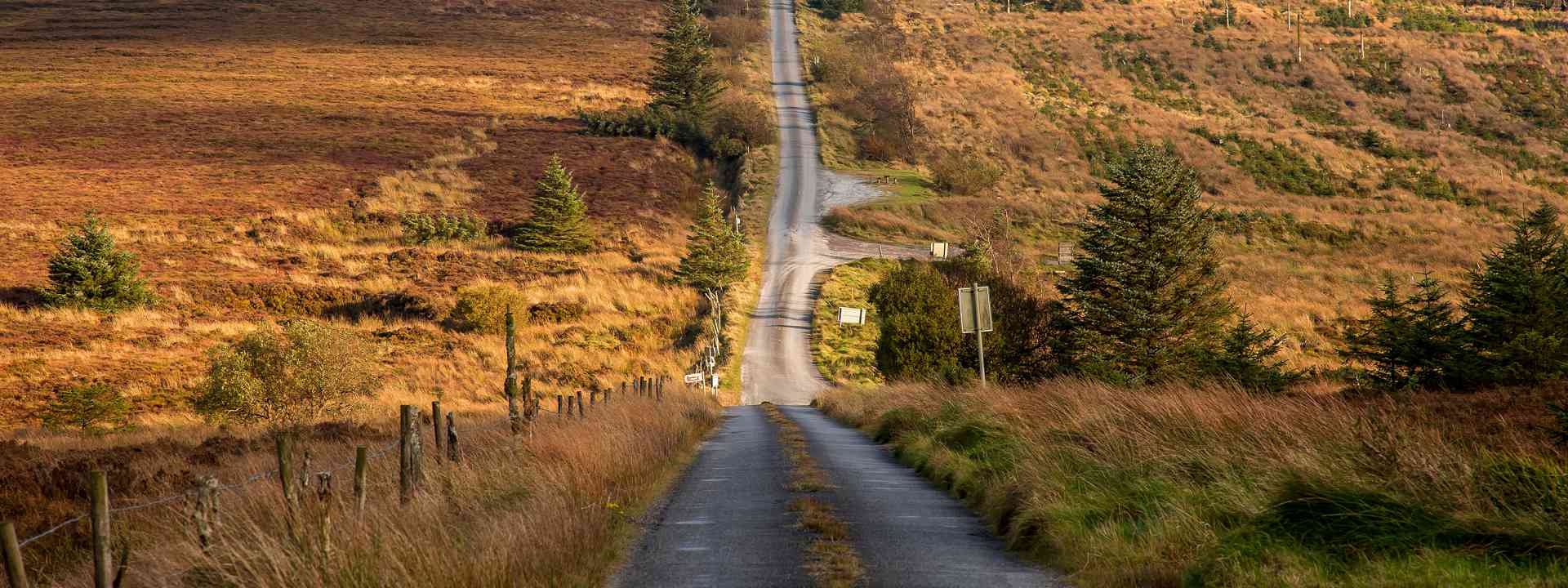 Road heading towards the wolftrap