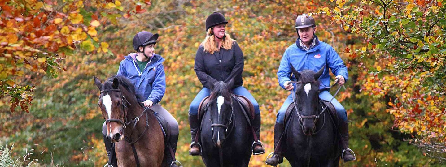 3 people horse riding