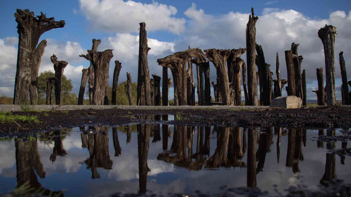 Water photo at Lough Boora Parklands
