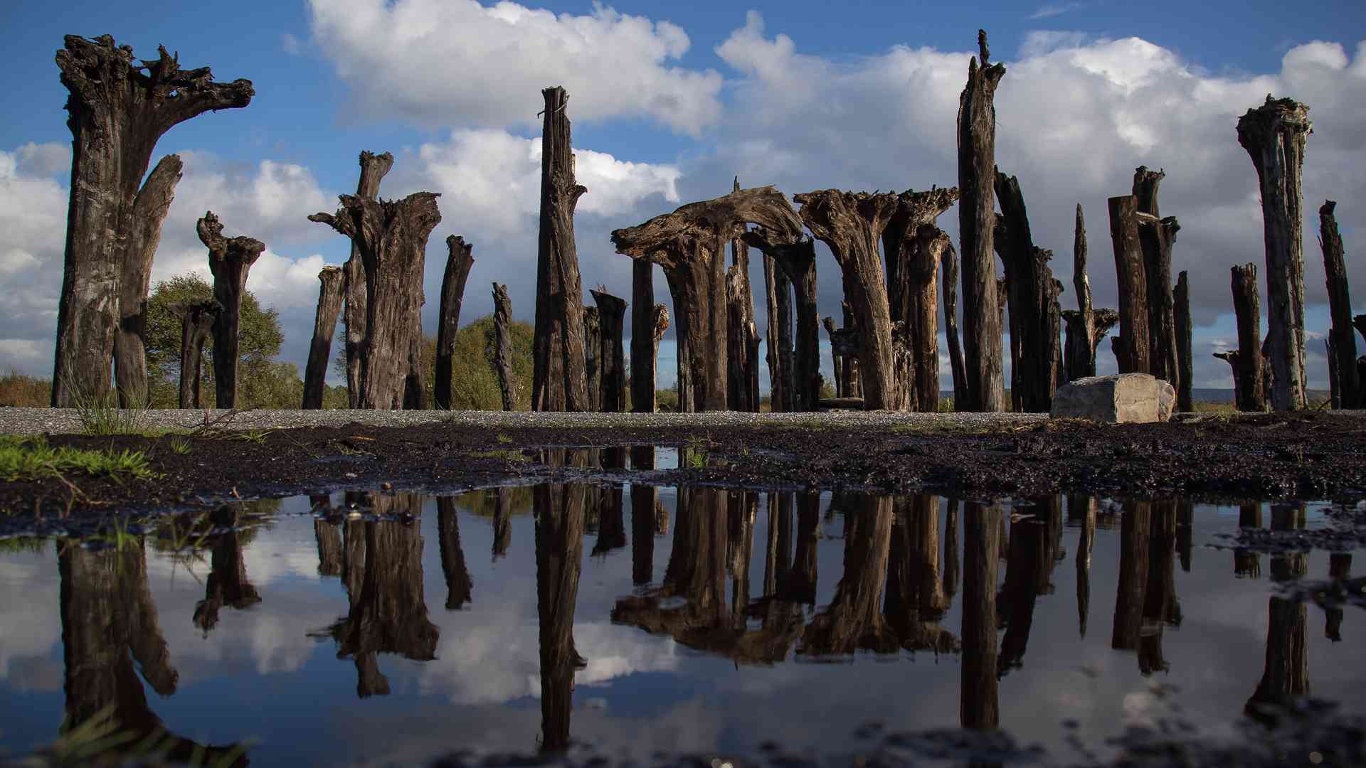 Water photo at Lough Boora Parklands