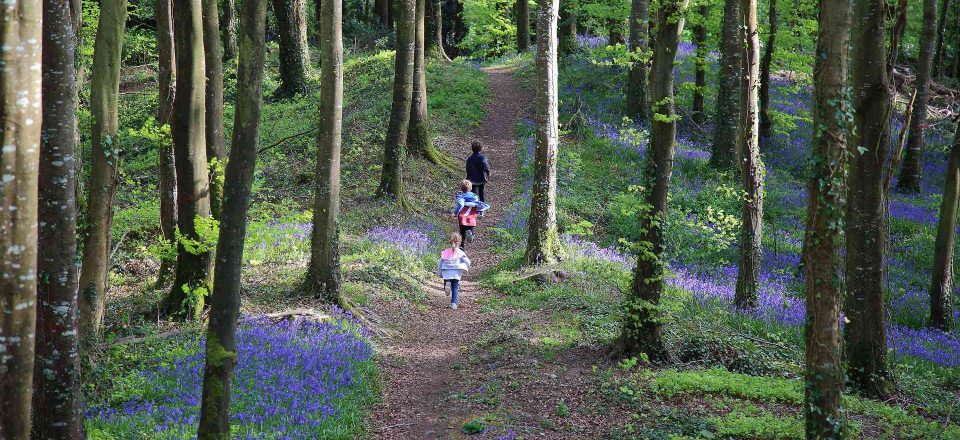 Kids walking through knockbarron