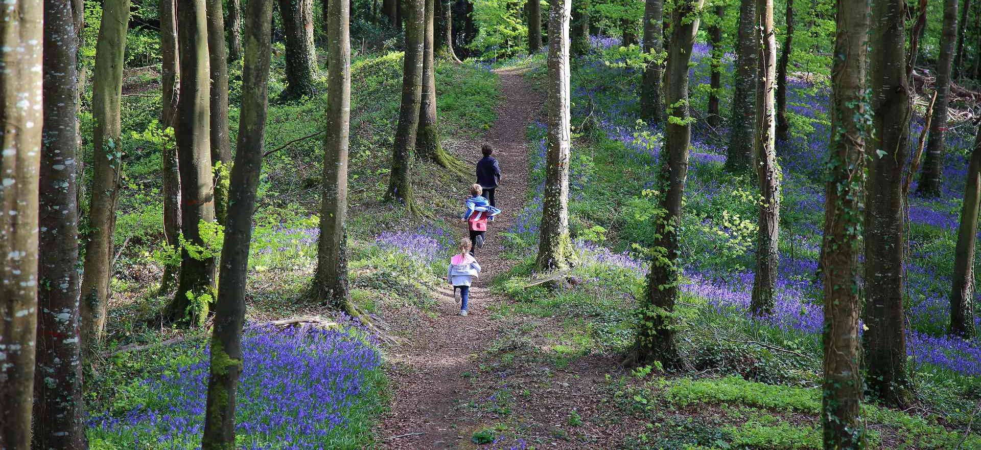 Kids walking through knockbarron