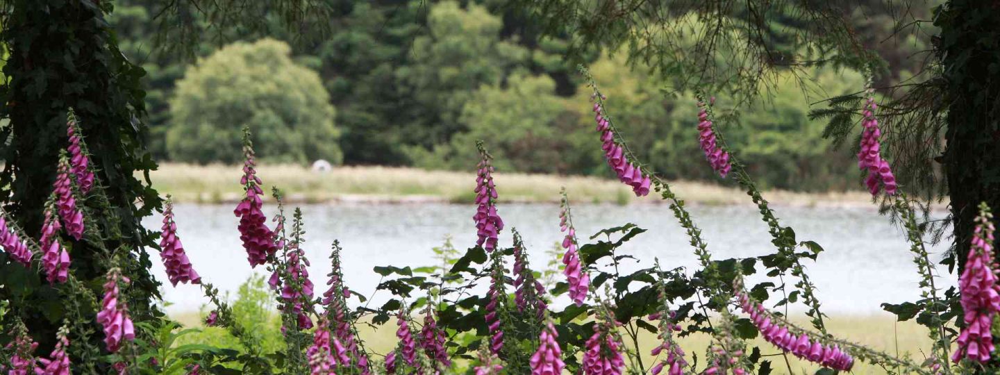 laois angling centre 