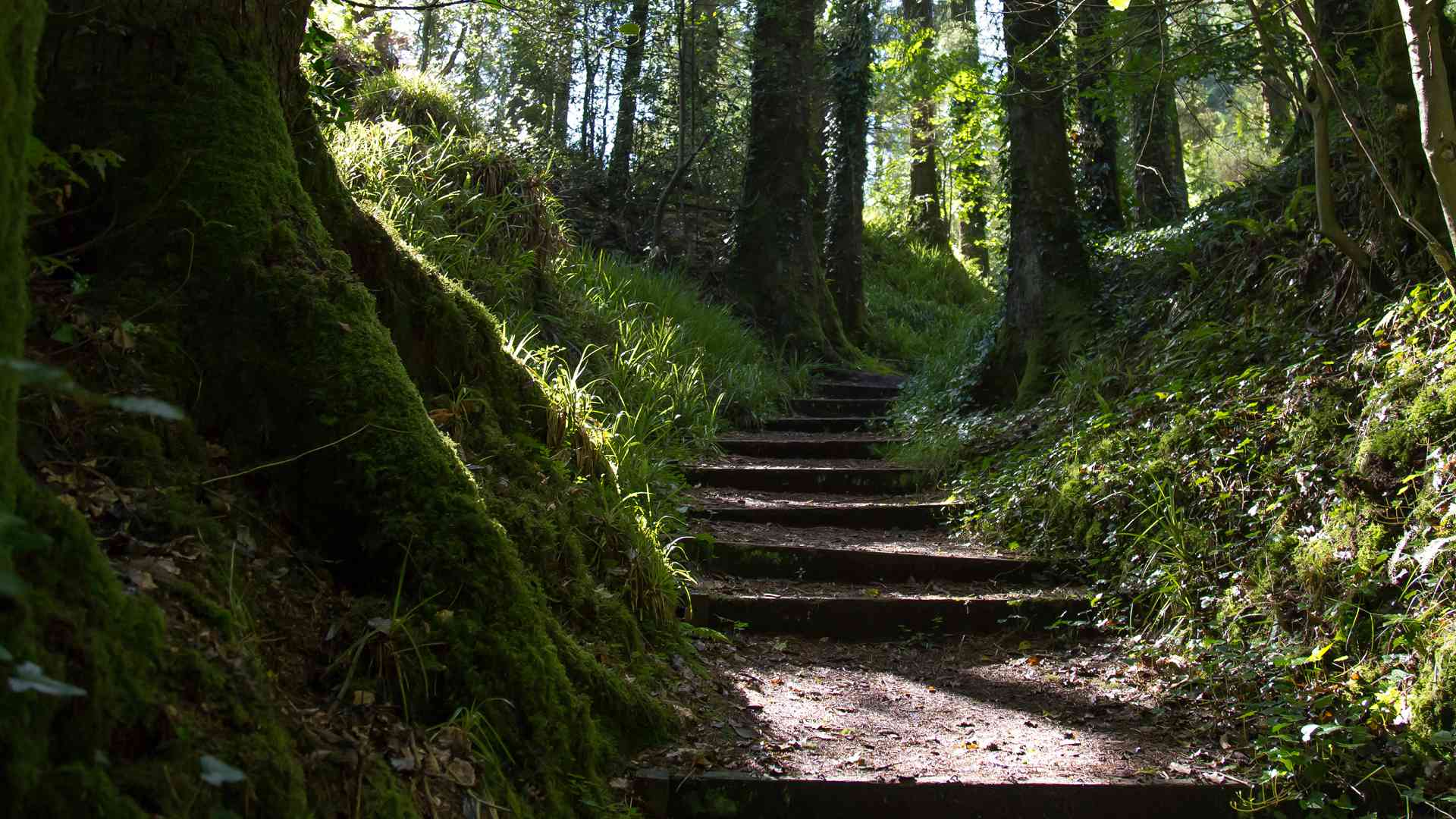 Photo of monicknew valley 