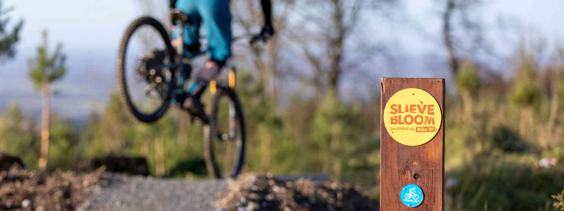 Person mountain biking