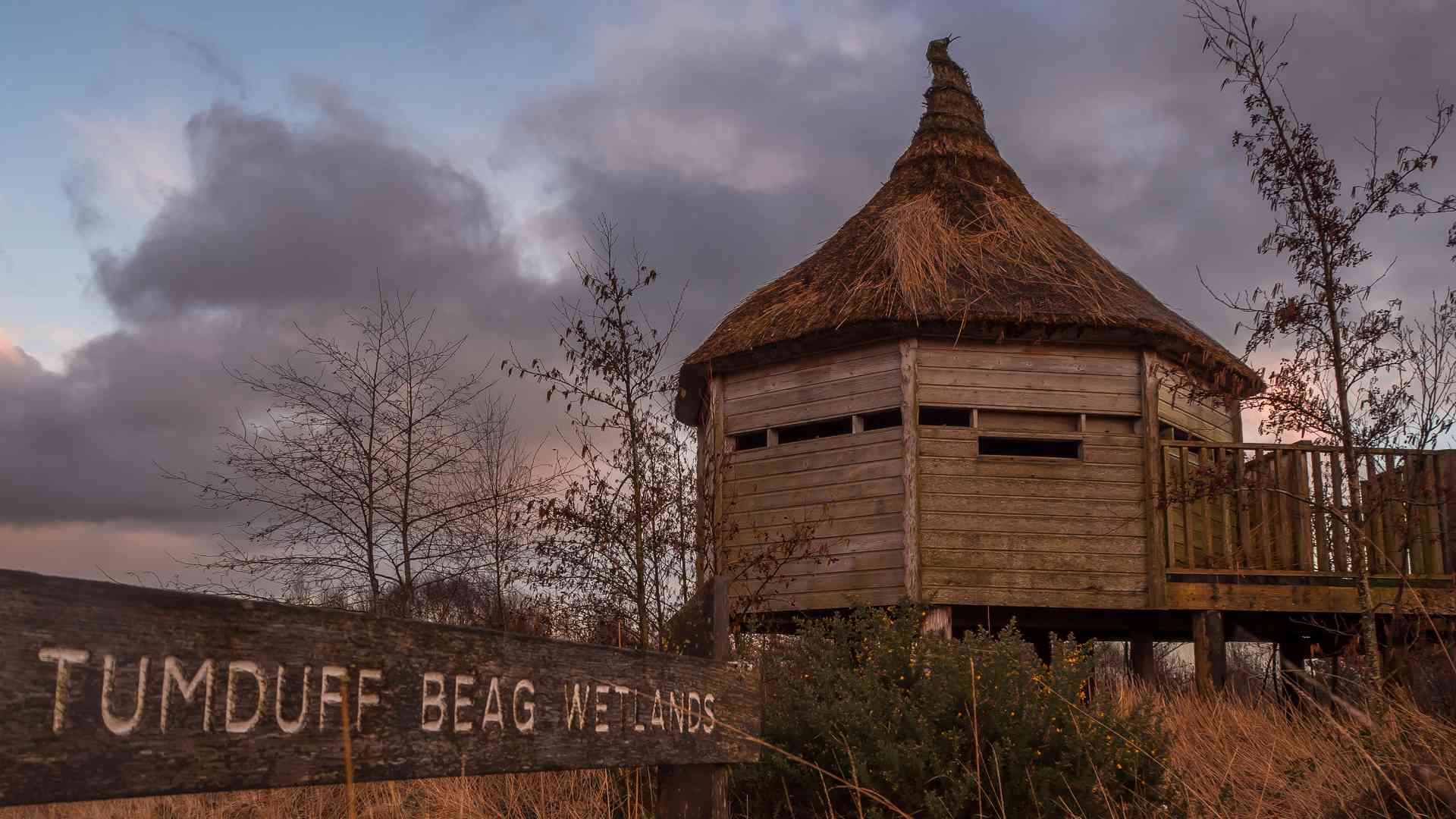 Tumduff beag wetlands