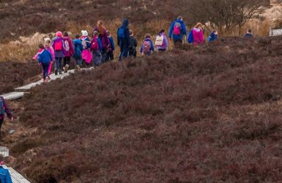Group of people walking along a trail