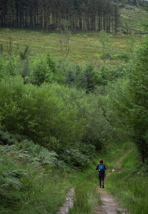 Photo of woman walking scenic trail