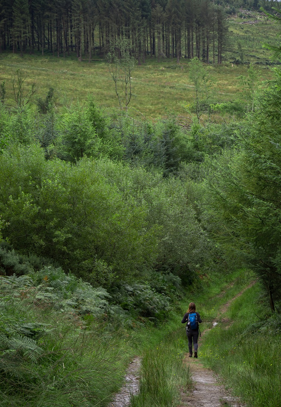 Photo of woman walking scenic trail