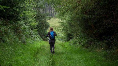 Photo of woman walking through pauls lane